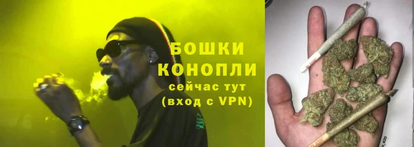 ГАЛЛЮЦИНОГЕННЫЕ ГРИБЫ Володарск