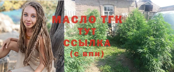 твердый Вяземский