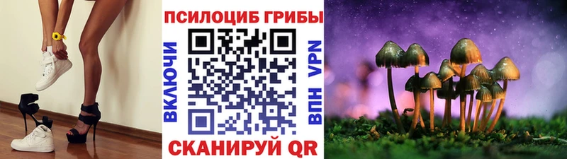 Псилоцибиновые грибы Magic Shrooms цена Камбарка