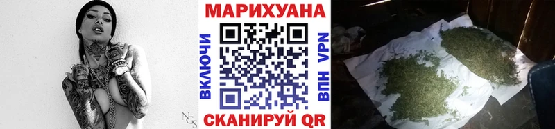 Бошки Шишки гибрид  KRAKEN как зайти  Камбарка 